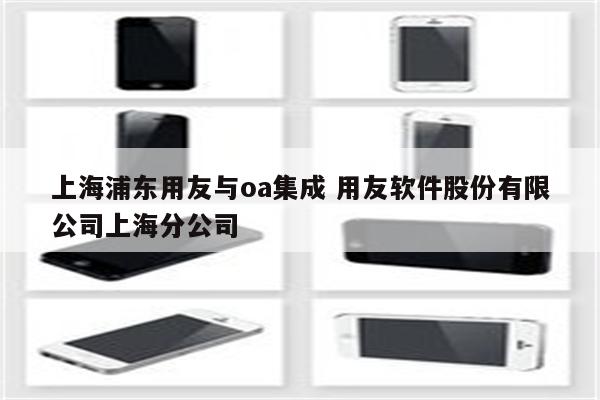 上海浦东用友与oa集成 用友软件股份有限公司上海分公司