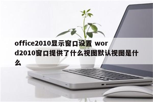 office2010显示窗口设置 word2010窗口提供了什么视图默认视图是什么