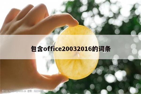 包含office20032016的词条