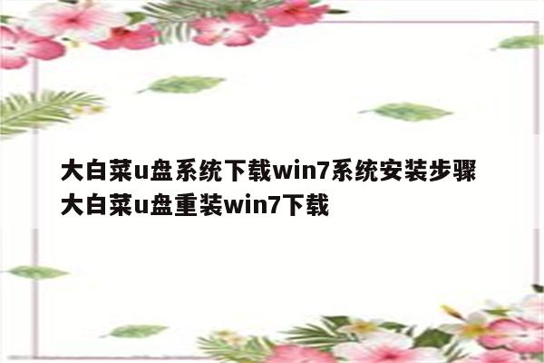 大白菜u盘系统下载win7系统安装步骤 大白菜u盘重装win7下载