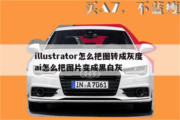 illustrator怎么把图转成灰度 ai怎么把图片变成黑白灰