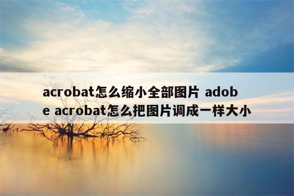 acrobat怎么缩小全部图片 adobe acrobat怎么把图片调成一样大小