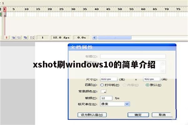 xshot刷windows10的简单介绍