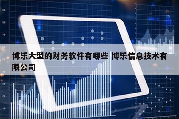 博乐大型的财务软件有哪些 博乐信息技术有限公司