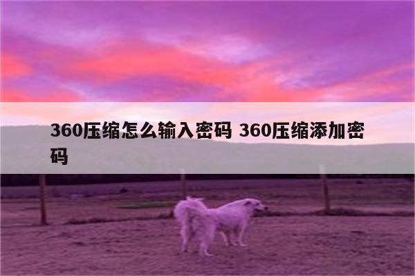 360压缩怎么输入密码 360压缩添加密码