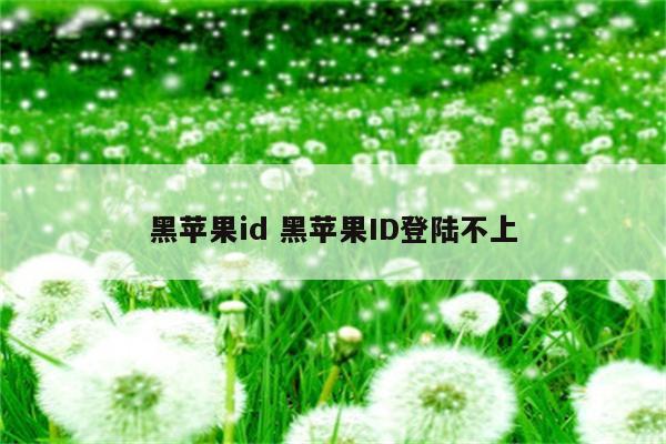 黑苹果id 黑苹果ID登陆不上