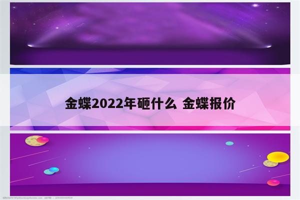 金蝶2022年砸什么 金蝶报价