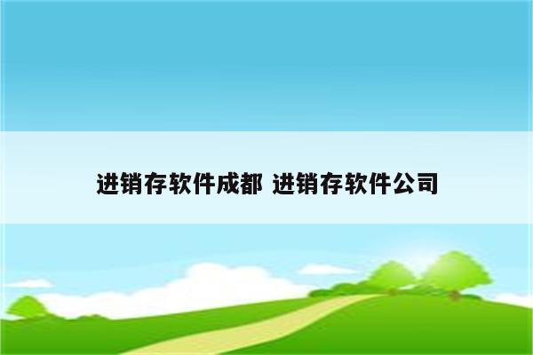 进销存软件成都 进销存软件公司