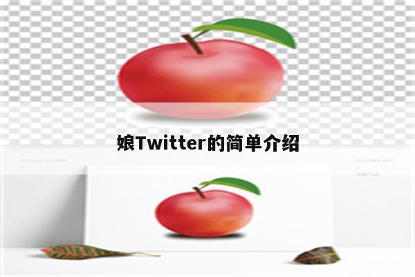 娘Twitter的简单介绍