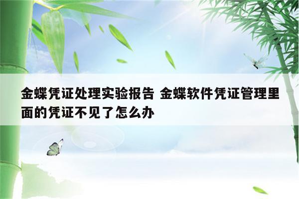 金蝶凭证处理实验报告 金蝶软件凭证管理里面的凭证不见了怎么办