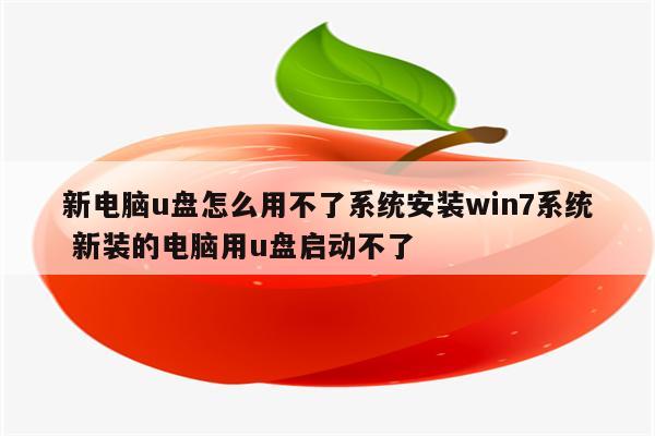 新电脑u盘怎么用不了系统安装win7系统 新装的电脑用u盘启动不了