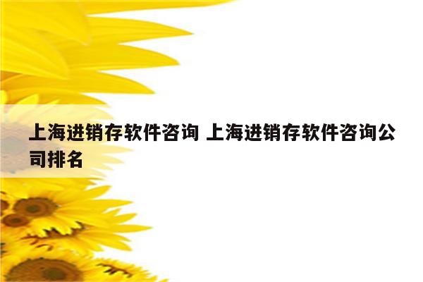 上海进销存软件咨询 上海进销存软件咨询公司排名