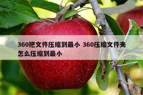 360把文件压缩到最小 360压缩文件夹怎么压缩到最小