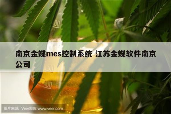 南京金蝶mes控制系统 江苏金蝶软件南京公司