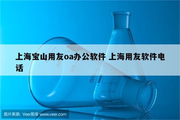 上海宝山用友oa办公软件 上海用友软件电话