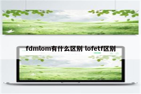 fdmlom有什么区别 lofetf区别