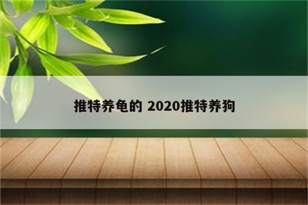 推特养龟的 2020推特养狗