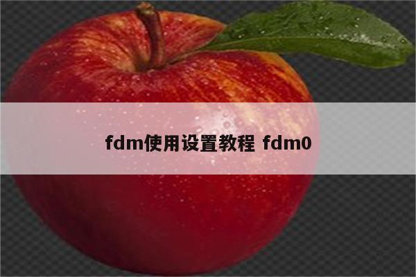 fdm使用设置教程 fdm0