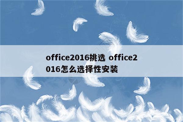 office2016挑选 office2016怎么选择性安装