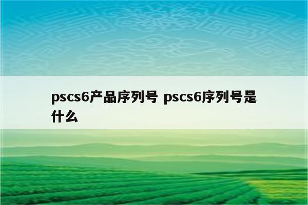 pscs6产品序列号 pscs6序列号是什么