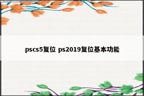 pscs5复位 ps2019复位基本功能