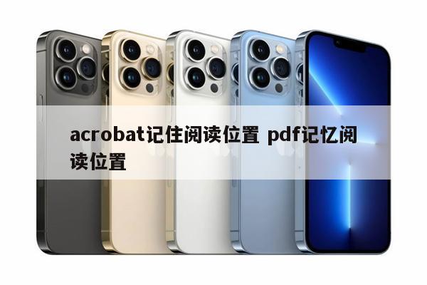 acrobat记住阅读位置 pdf记忆阅读位置