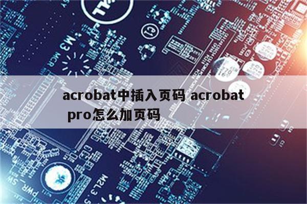 acrobat中插入页码 acrobat pro怎么加页码