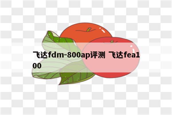 飞达fdm-800ap评测 飞达fea100