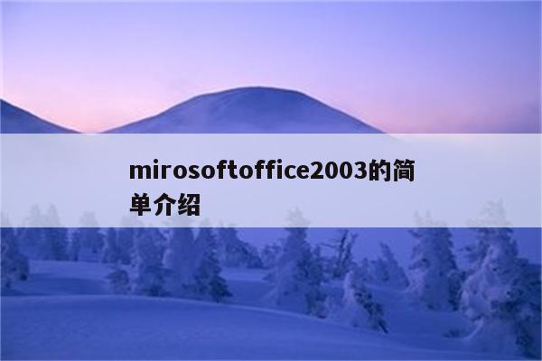 mirosoftoffice2003的简单介绍