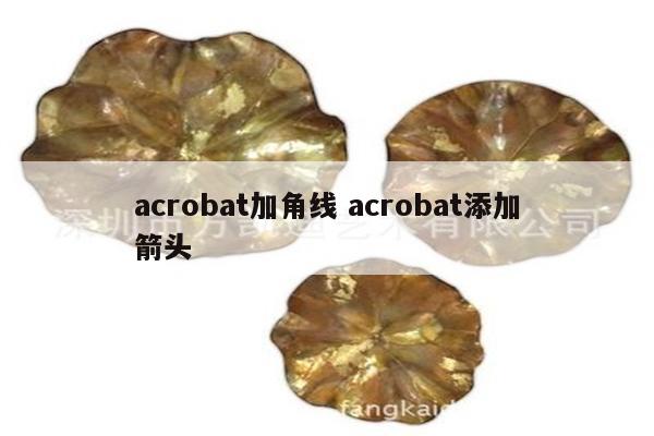 acrobat加角线 acrobat添加箭头