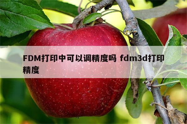 FDM打印中可以调精度吗 fdm3d打印精度