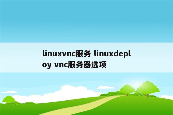 linuxvnc服务 linuxdeploy vnc服务器选项