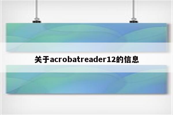 关于acrobatreader12的信息