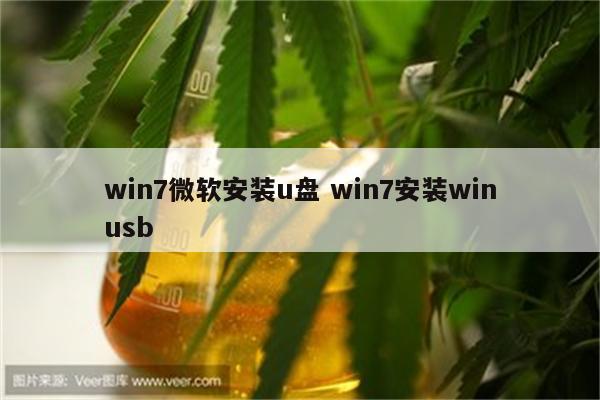 win7微软安装u盘 win7安装winusb