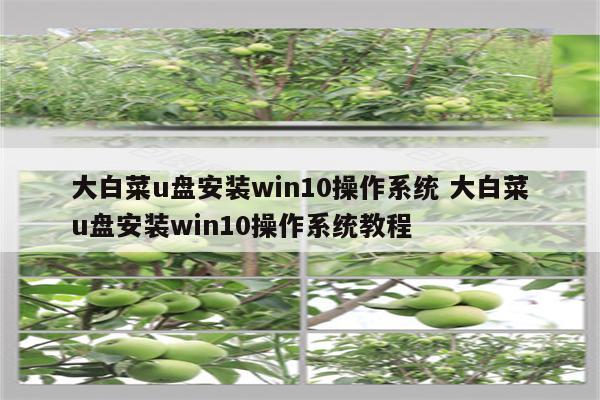 大白菜u盘安装win10操作系统 大白菜u盘安装win10操作系统教程