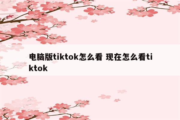 电脑版tiktok怎么看 现在怎么看tiktok