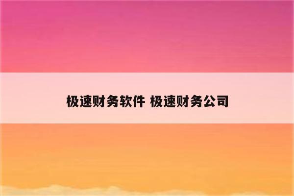 极速财务软件 极速财务公司