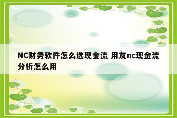 NC财务软件怎么选现金流 用友nc现金流分析怎么用