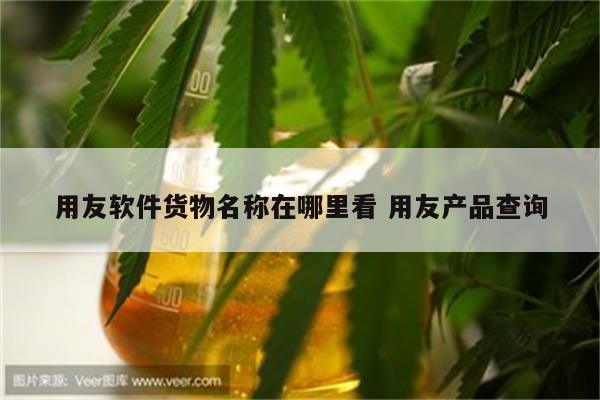 用友软件货物名称在哪里看 用友产品查询