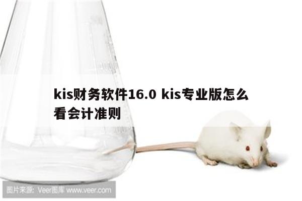 kis财务软件16.0 kis专业版怎么看会计准则