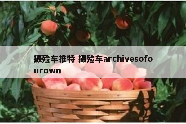 摄殓车推特 摄殓车archivesofourown