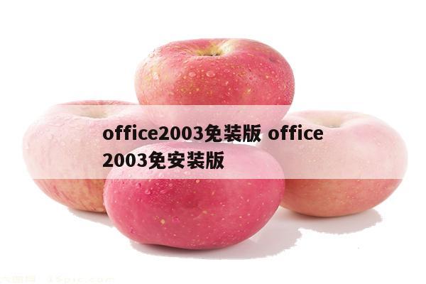 office2003免装版 office2003免安装版