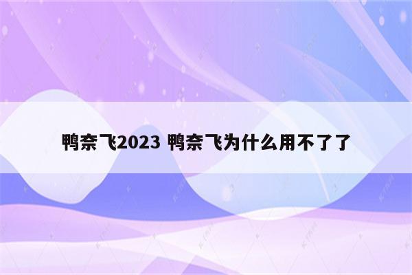 鸭奈飞2023 鸭奈飞为什么用不了了