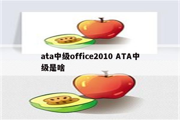 ata中级office2010 ATA中级是啥