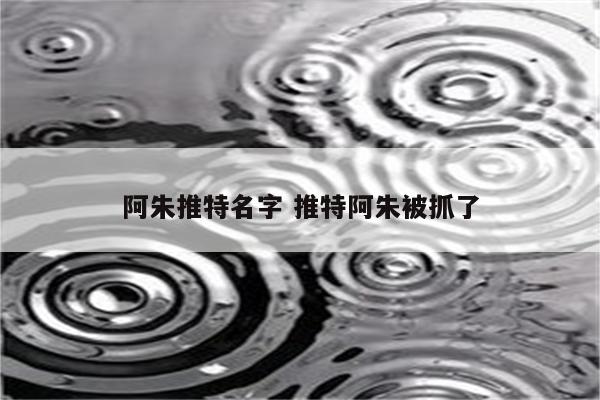 阿朱推特名字 推特阿朱被抓了