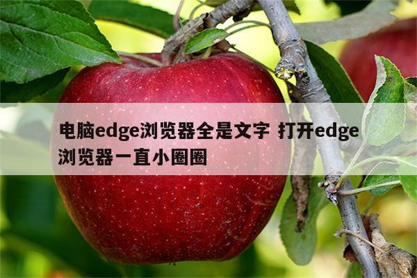 电脑edge浏览器全是文字 打开edge浏览器一直小圈圈