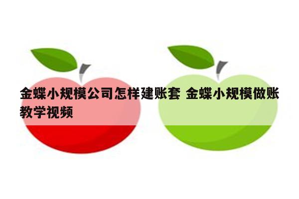 金蝶小规模公司怎样建账套 金蝶小规模做账教学视频
