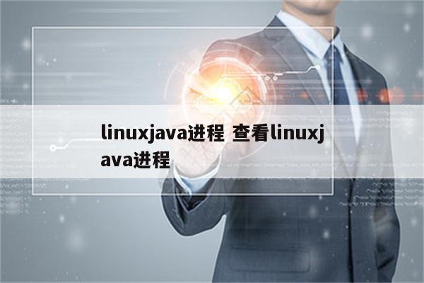 linuxjava进程 查看linuxjava进程