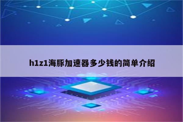 h1z1海豚加速器多少钱的简单介绍