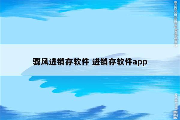 骤风进销存软件 进销存软件app